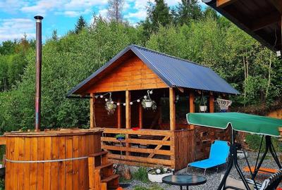 Cabana de vanzare – o oaza de liniste in Muntii Apuseni – Valea Ierii, jud. Cluj - 3