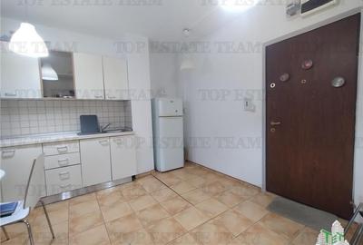 Apartament cu 3 camere decomandat, mobilat în Tineretului - 8