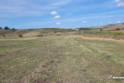 Teren intravilan Corusu cu vedere peste sat, parcelabil - 2