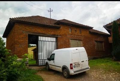 Casă cu Teren 11000 Mp în Dumbrăvița - 4
