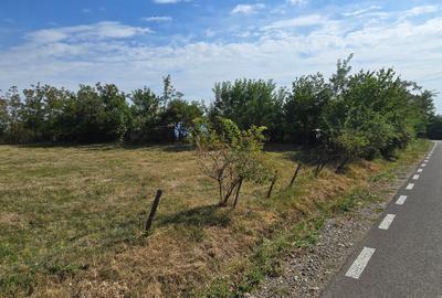 Teren Construcții intravilan de 4000 mp, în Central - 1