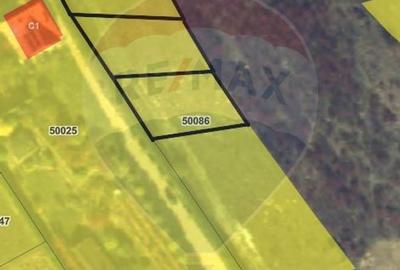 Teren 600 mp Cojocna - oportunitate pentru investitie