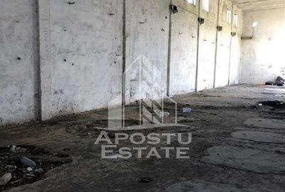 Teren 8000 mp cu hala de 700 mp - 2