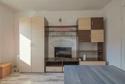 Apartament cu 1 camere semidecomandat, mobilat în Bartolomeu - 2