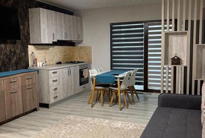Apartament cu 2 camere decomandat în Preajba - 10