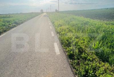 Teren 5500mp extravilan,Sat Dimoiu - 3