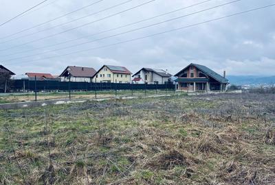 Teren de 1700 mp, în Satu Nou de Sus - 5