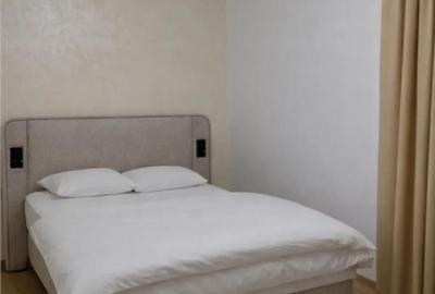 Apartament cu 4 camere decomandat în Calea București - 6