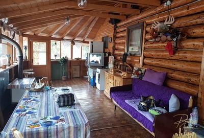 Cabana de lemn cu teren 760 mp de vanzare in Coada Lacului - Bihor - 6