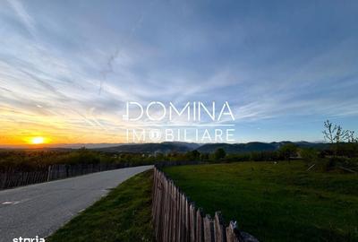 Spațiu comercial, în Baia de Fier - 2