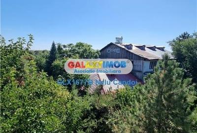 VANZARE 10.000 MP LOCALITATEA ILEANA 49 KM BUCURESTI - 14