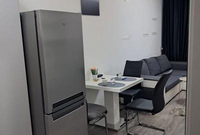 Apartament cu 2 camere în Șega - 3