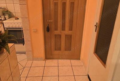 Apartament cu 2 camere semidecomandat în Gojdu - 3