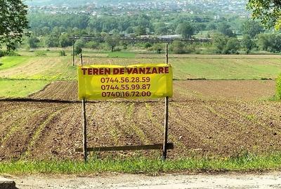 Teren de 46 mp, în Plopeni - 4