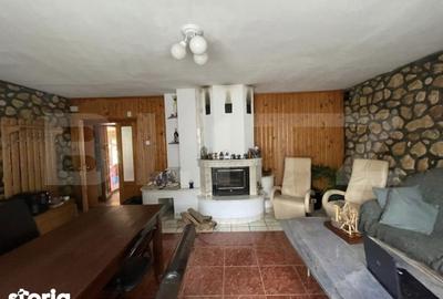 Spațiu comercial, de 450 mp, în Orăștioara de Sus - 8