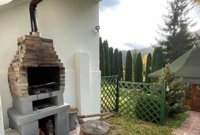 Casă individuală cu 5 camere cu Teren 1500 Mp în Cumpătu - 15