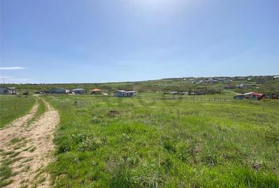 RECO Teren intravian in Oradea Str Beldiceanu 771mp - 4