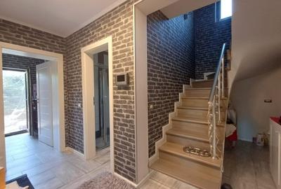 VILA CU 5 CAMERE, 150 MP UTILI, BECI, GARAJ, 717 MP TEREN, VISAN-BUCIUM - 14