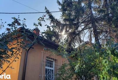 Casă cu 3 camere cu Teren 200 Mp în Floreasca - 4