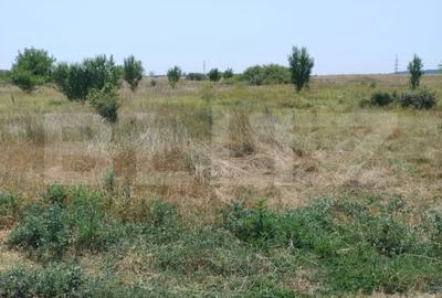 Parcele intravilan, 500 mp, str Constantei, langa Eurocartier - 2