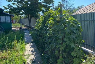 Vand casa la tara Vand casa la tara - 2