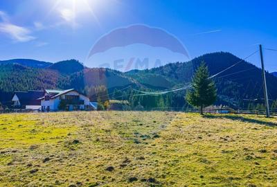 Teren Construcții intravilan de 13800 mp, în Fundățica - 15