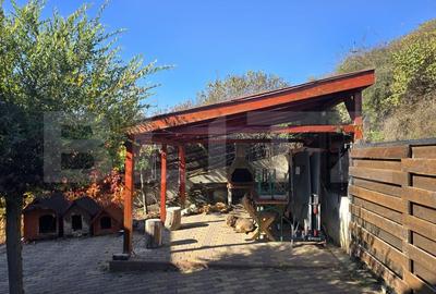 Duplex cu 6 camere cu Canalizare în Baciu - 5