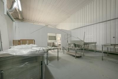 Inchirieri Spatii industriale ILFOV - SUD JILAVA - 15