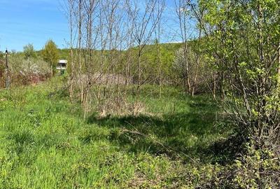 Teren de 1263 mp, în Racovița - 2