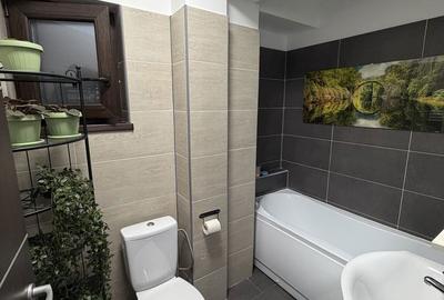 Apartament cu 2 camere decomandat în Frumoasa - 3