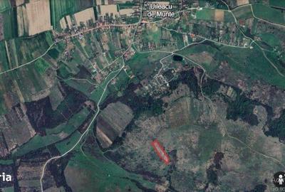 Spațiu comercial, în Uileacu de Munte - 4