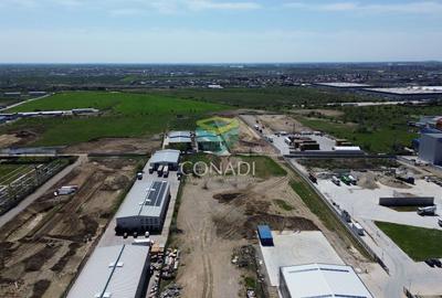 Teren Construcții intravilan de 4624 mp, în Cernica - 2