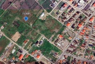 Teren de 750 mp, în Viile Noi - 2