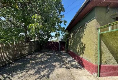 Casa cu teren de 6060 mp | LOC. BICACI | BIHOR - 3