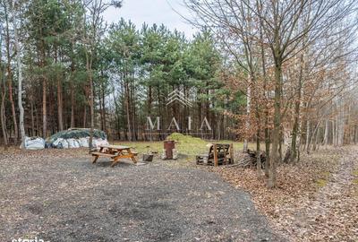 Spațiu comercial, în Cristian - 6