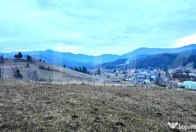 Teren de 2500 mp, în Colibița - 2