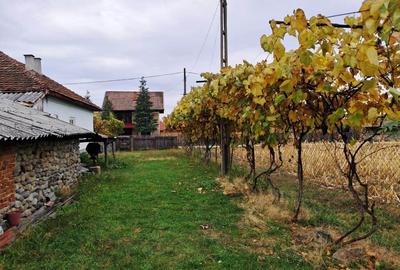 CASĂ SI TEREN BAIA DE FIER - 5