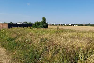 Ciorogarla, Ilfov - 4