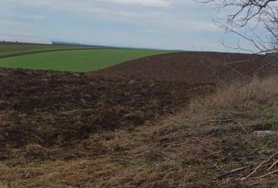 Teren agricol extravilan de 11500 mp, în Tiream - 2