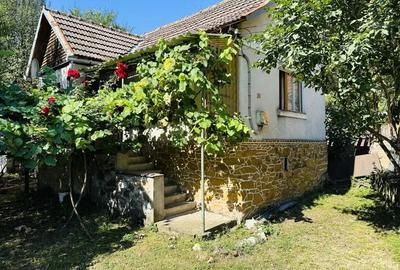 Casă cu 2 camere cu Teren 719 Mp în Dognecea - 4