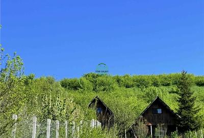 Teren Construcții intravilan de 2566 mp, în Corunca - 4