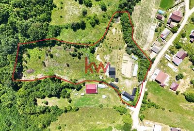 Casa+Teren+Anexe, 10.000 mp in Slatioara, Rasca - 5