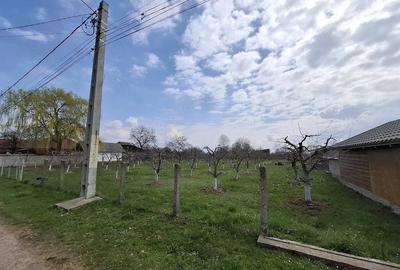 Teren de 2000 mp, în Răucești - 3