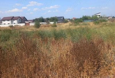 Teren în Broșteni - 3