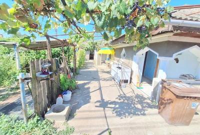 Teren 371 mp curti constructii+casa 5 camere si anexe, zona Izvoare - 18