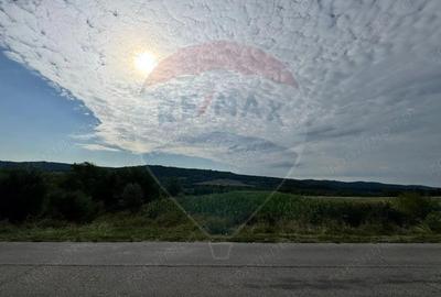 Teren spectaculos de vanzare in Draghici - 5