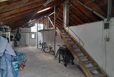 Vand casa Peciu Nou - 6