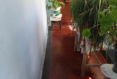 Casă cu 3 camere în Nord - 1