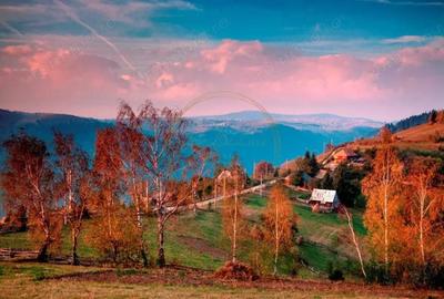 Teren de 1190 mp, în Mărișel - 4