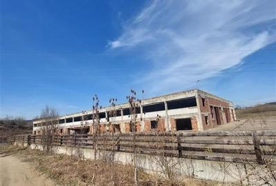 Spațiu industrial, de 3,500 mp, în Cașin - 1
